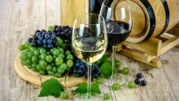 Gourmet ecological wines